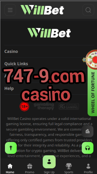 747-9.com Casino - Aviation-Themed Casino-casinoorder.vip